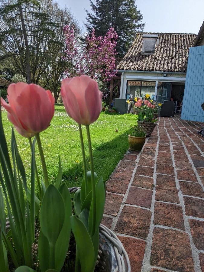 Domaine Du Tafiart Bed and Breakfast Sarron Exteriör bild