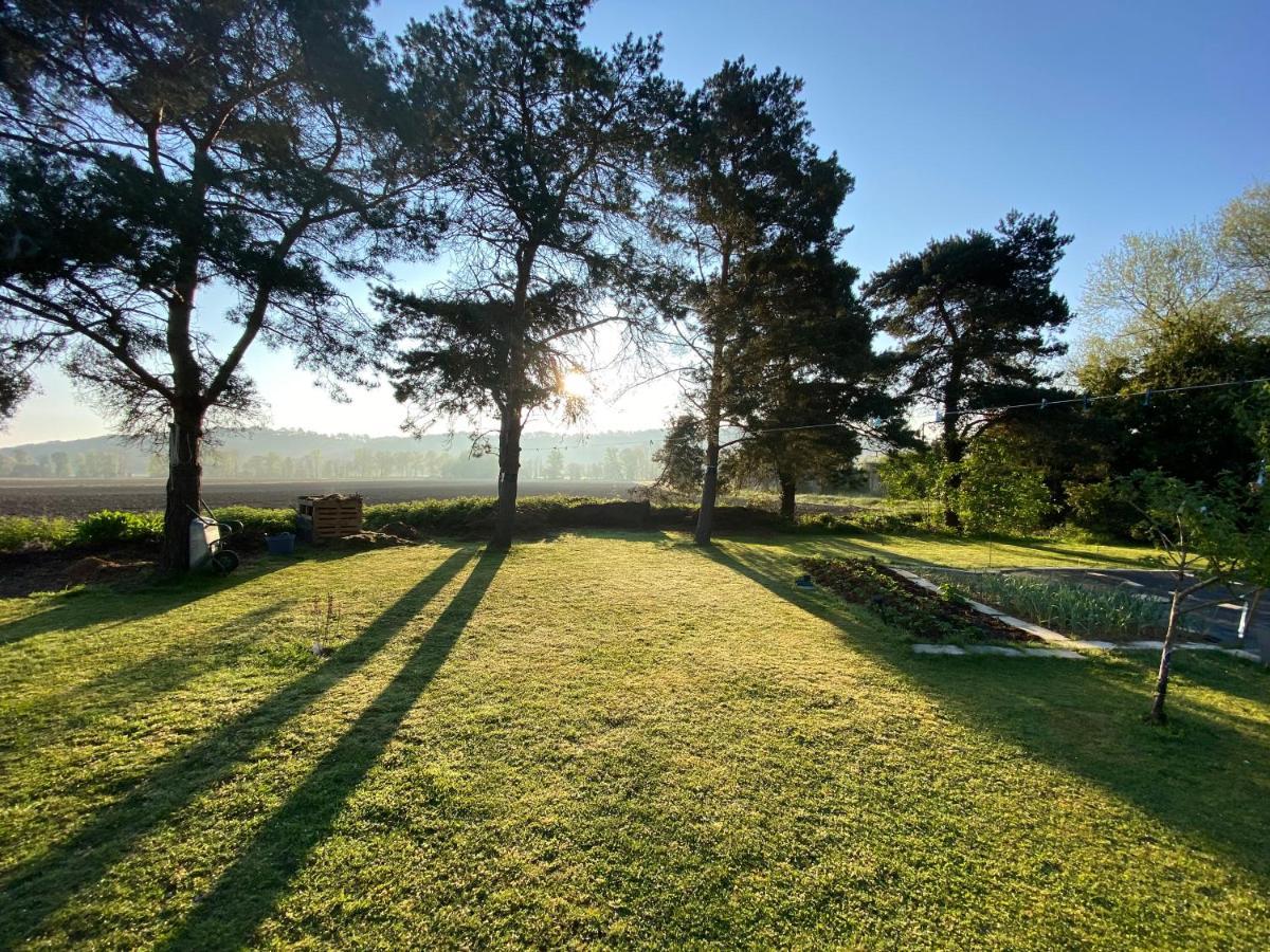 Domaine Du Tafiart Bed and Breakfast Sarron Exteriör bild